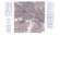 VFR Helicopter Route charts (Folded)